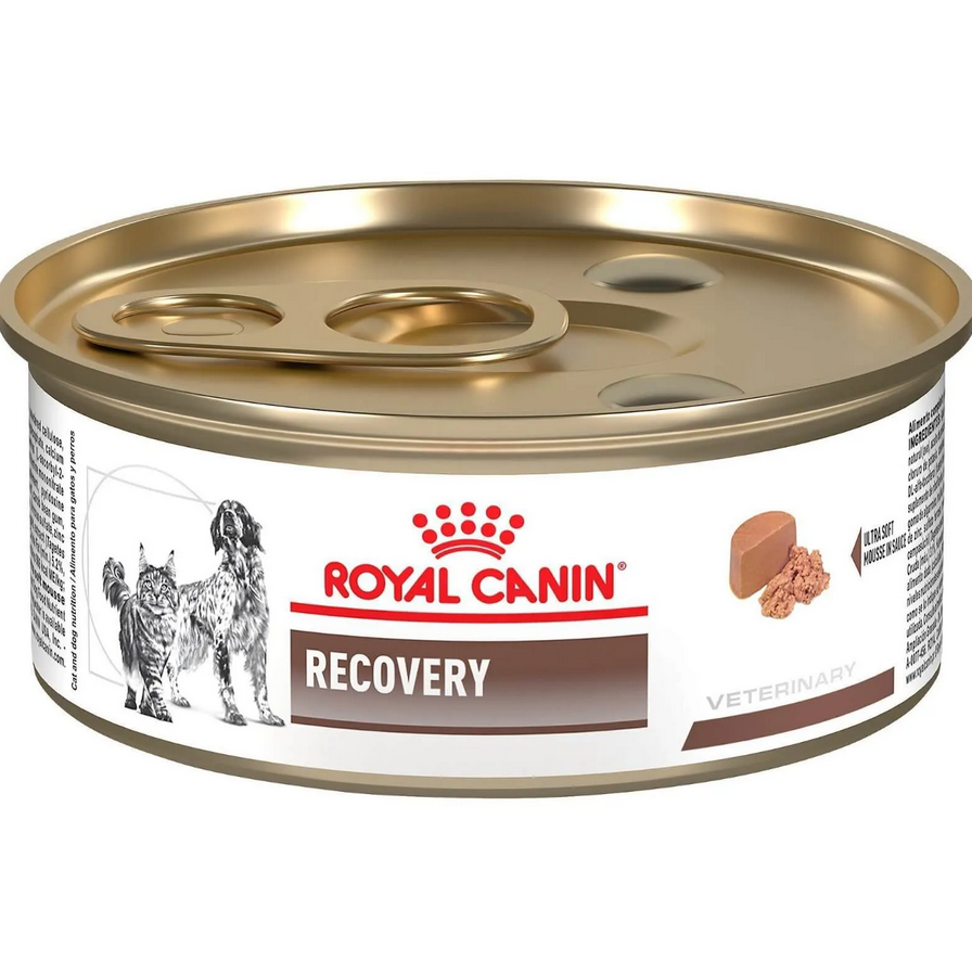 Ração Úmida Royal Canin Recovery Cães e Gatos 195 g